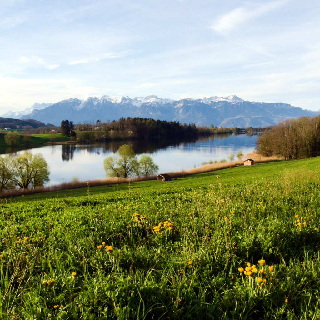Matin printanier au lac de Brêt, Vaud, Suisse